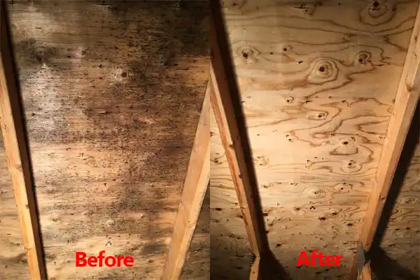 water damage restoration service Niangua
